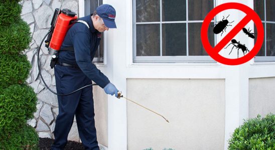 Sarıveliler Haşere İlaçlama böcek ilaçlama ve haşere kontrolü — ilaclama-tr.com